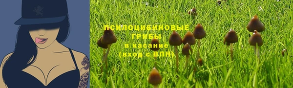 MDMA Аркадак