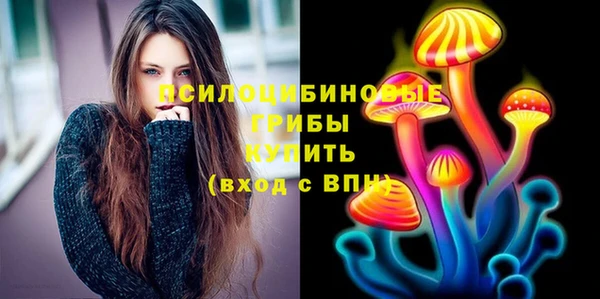 СК Арсеньев