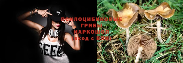 каннабис Баксан